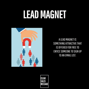 Lead magnet Infographic titled lead magnet showing a hand pulling a magnet toward colorful people icons to illustrate a free incentive for joining an email list