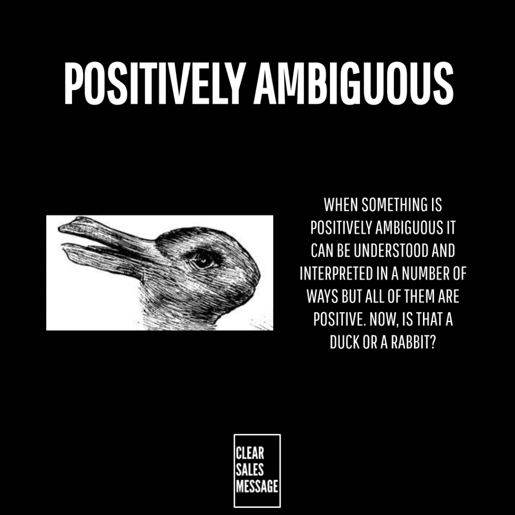 Poster style graphic with the title positively ambiguous a duck illustration on the left and a block of text on the right explaining positive ambiguity logo at bottom