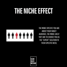 THE NICHE EFFECT