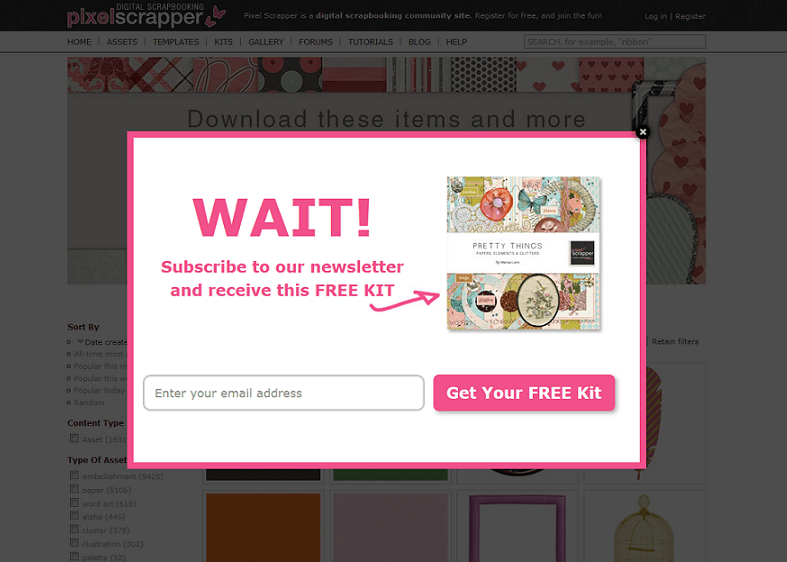 Newsletter signup modal with pink border reading wait   subscribe to our newsletter and receive this free kit includes email field and get your free kit button