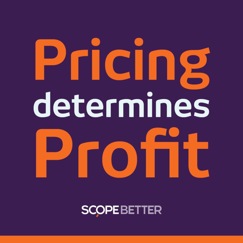 Purple poster with orange text saying pricing determines profit and a white scopebetter logo at bottom conveying a pricing strategy message
