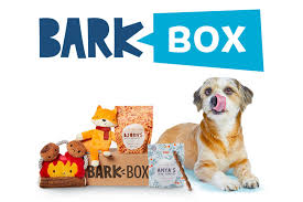 Images Barkbox logo above a friendly dog sitting with barkbox treats and toys