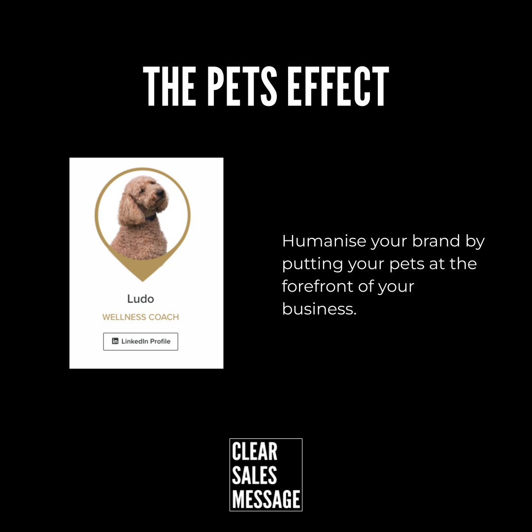 Marketing hero black background with the pets effect left white card showing a dog portrait inside a gold badge labeled ludo wellness coach with a linkedin button right aligned message about humanising brands bottom clear sales message logo