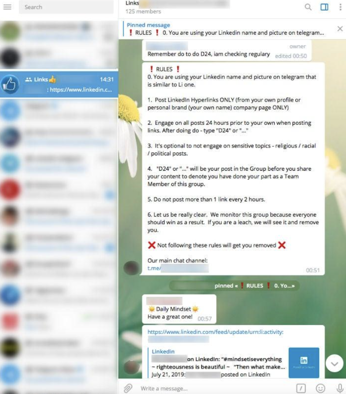 Screenshot of a messaging app showing a pinned rules message about linkedin name and posting guidelines in a chat window A secondary chat with a daisy like background is visible on the right side